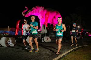 BIB: 
                            <button type="button" onclick="openModal(26534246)" class="btn btn-primary btn-sm float-right btn-popup" data-toggle="modal" data-target=".modal-high-quality">
                        <i class="fas fa-shopping-cart"></i> Add to Cart
                    </button>
                                            <button type="button" onclick="isThisMe(26534246, true)" class="btn btn-success btn-sm float-right btn-popup btn-isme hidden" data-toggle="tooltip" data-placement="bottom" title="นี่คือรูปของคุณใช่ไหม คลิกที่นี่เพื่อเอาเข้าอัลบั้ม">
                        <i class="fas fa-plus"></i> Add to album
                    </button>
                    <button type="button" onclick="isThisMe(26534246, false)" class="btn btn-warning btn-sm float-right btn-popup btn-isnotme hidden">
                        <i class="fas fa-ban"></i> Remove from album
                    </button>